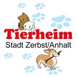 Ehrenamtliche Mitstreiter gesucht und Katzen zur Vermittlung