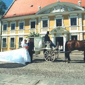 hochzeit1.jpg