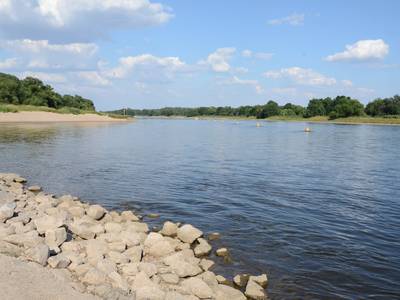 Flusslandschaft an der Elbe