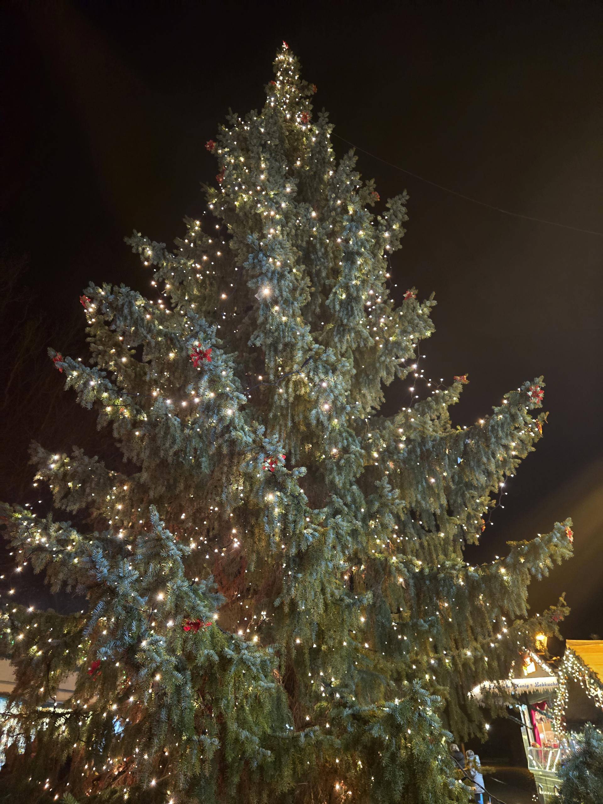 https://www.stadt-zerbst.de/var/cache/thumb_40150_1024_1_0_0_r2_jpeg_20241206_185316.jpeg