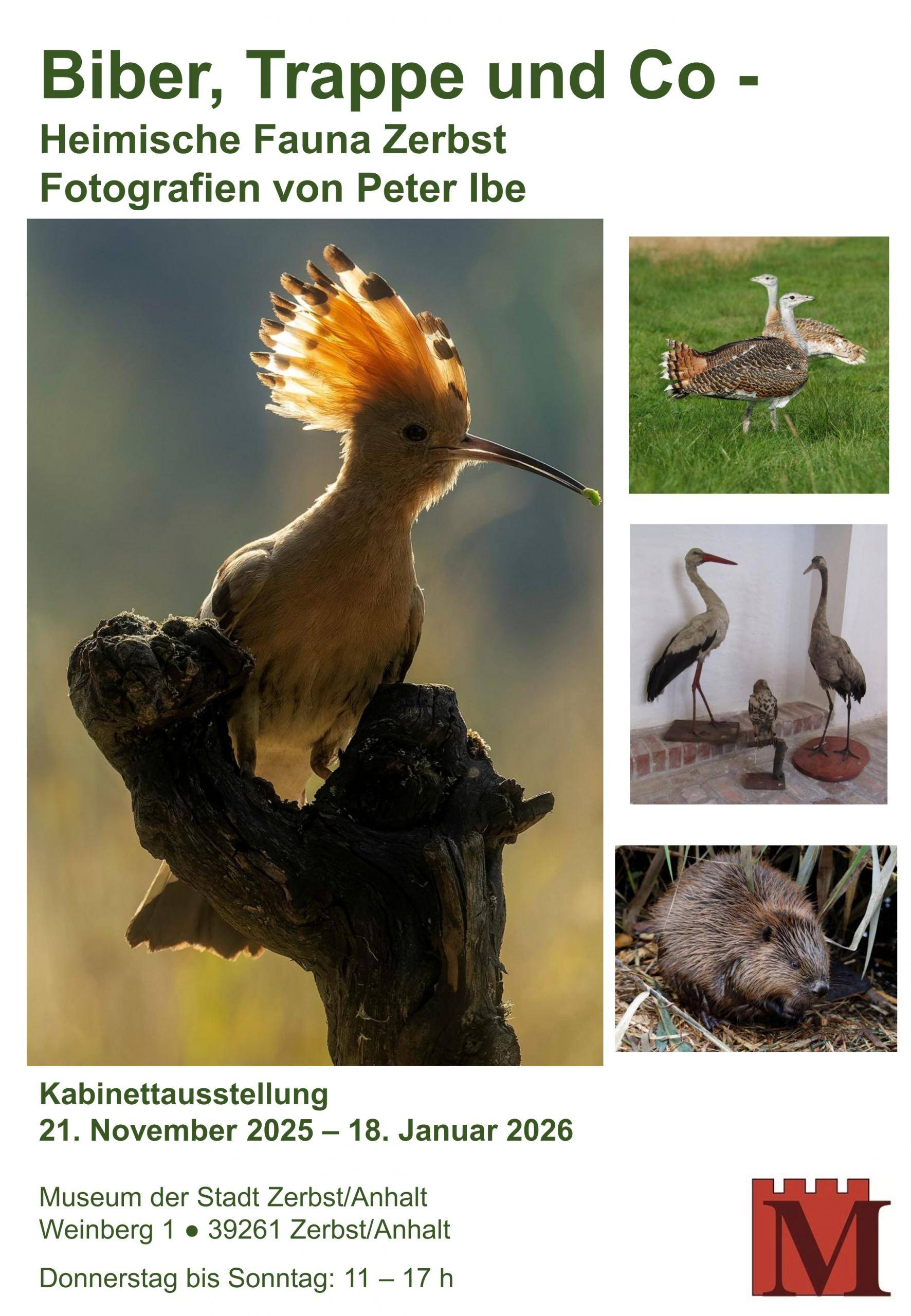 https://www.stadt-zerbst.de/var/cache/thumb_40227_1024_1_0_0_r2_jpeg_20251121_plakat01_1.jpeg