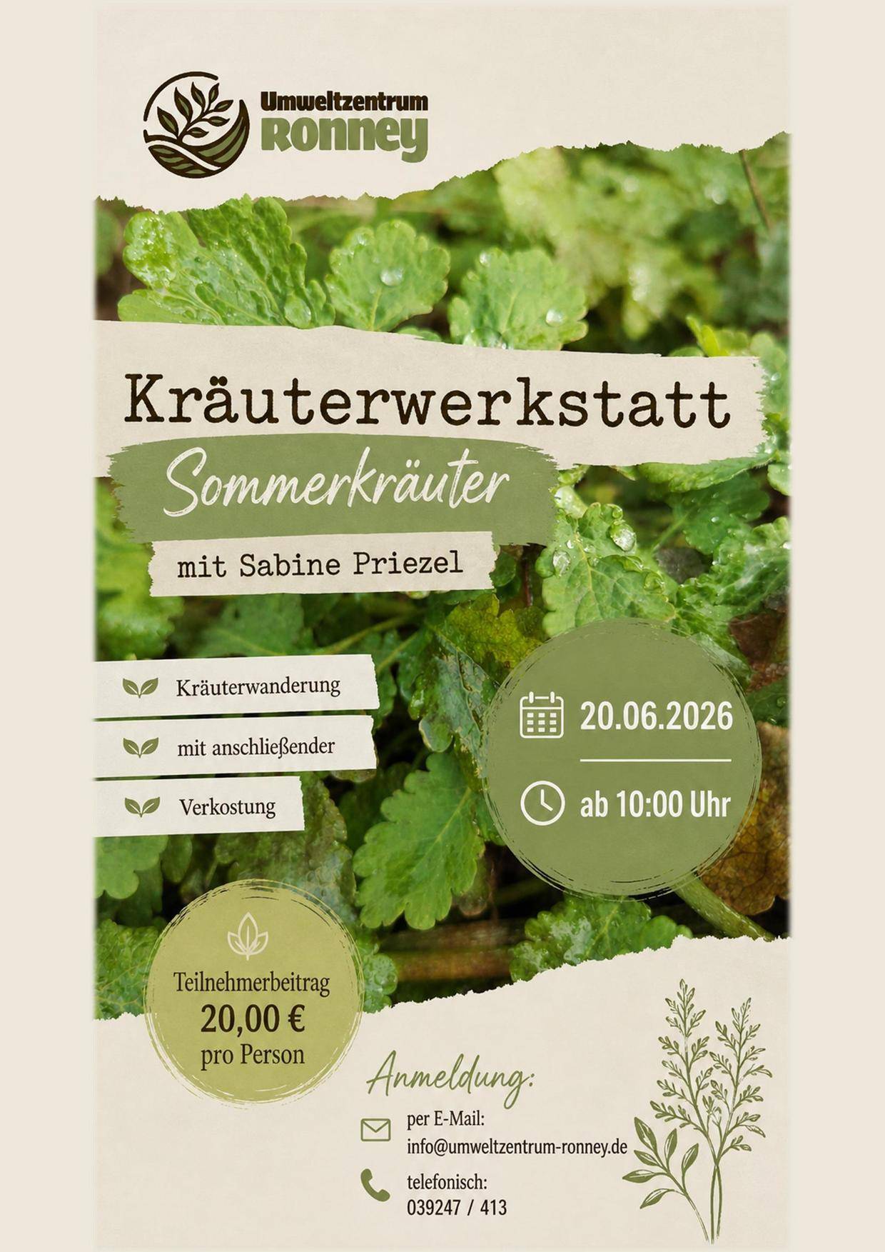 https://www.stadt-zerbst.de/var/cache/thumb_43015_1024_1_0_0_r2_jpeg_20260620_kräuterwerkstatt_a4_1.jpeg