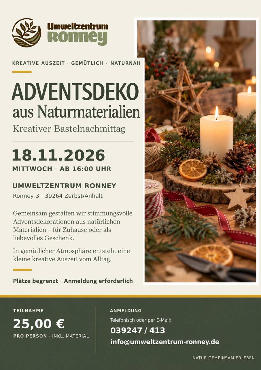 https://www.stadt-zerbst.de/var/cache/thumb_45307_1024_1_0_0_r2_jpeg_20261118_aventsdeko.jpeg
